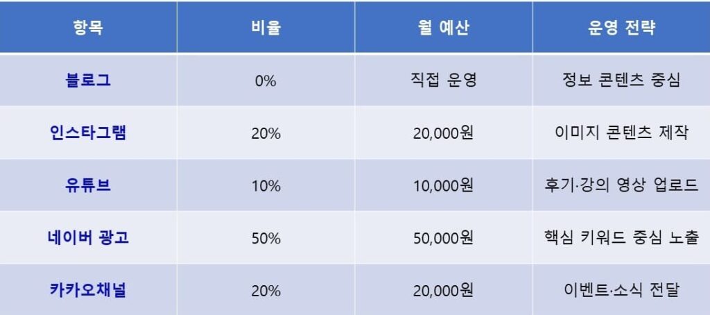 플랫폼별 예산 배분 예시 (총 월 10만원 기준)