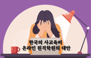 한국의 사교육비에 대응한 온라인원격학원의 대안