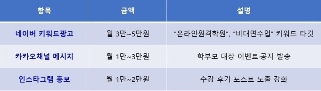 소액 유료 광고 운영 (월 5만~10만원 수준)