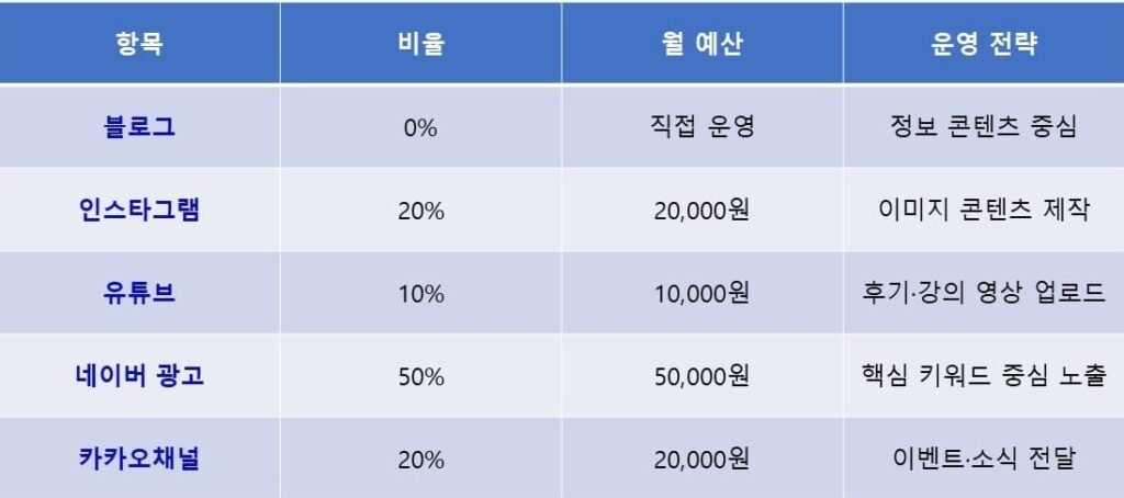 플랫폼별 예산 배분 예시 (총 월 10만원 기준)